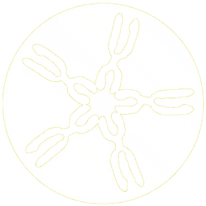 Logo Praxisgemeinschaft am Englischen Garten